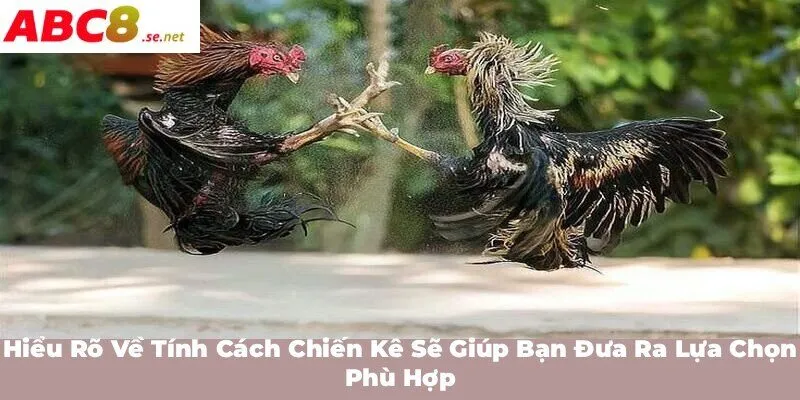 Hiểu rõ về tính cách chiến kê sẽ giúp bạn đưa ra lựa chọn phù hợp